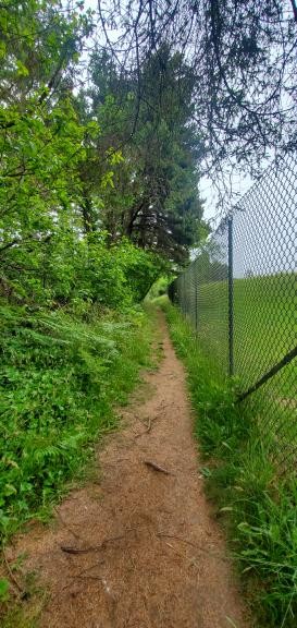 The Loop Trail at Hiller Park