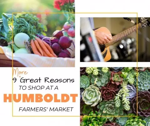 9 More Great Reasons to Shop at Humboldt County Farmers' Markets