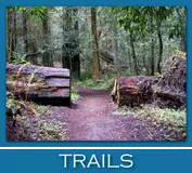 Humboldt CA trails