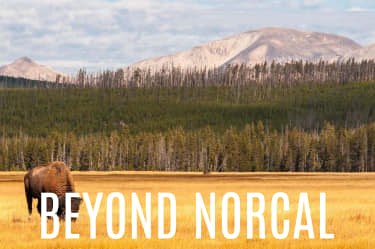 Explore beyond NorCal